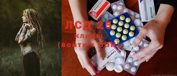 ГАЛЛЮЦИНОГЕННЫЕ ГРИБЫ Алексин