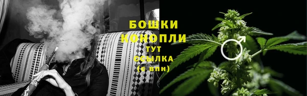 ГАЛЛЮЦИНОГЕННЫЕ ГРИБЫ Алексин