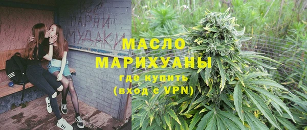 молекула духа Гусиноозёрск