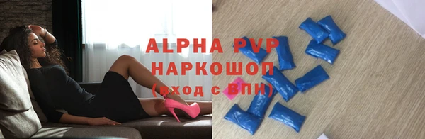 бошки Гусев