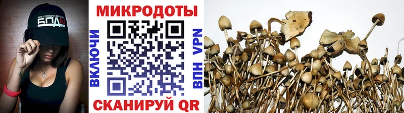 Галлюциногенные грибы GOLDEN TEACHER Краснознаменск