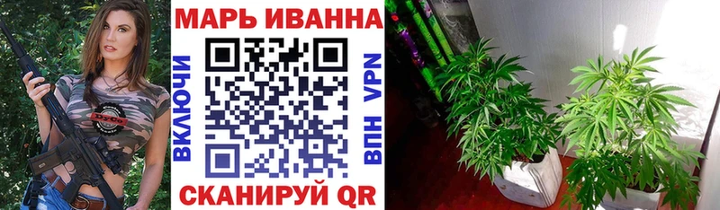 Конопля Ganja  сколько стоит  Краснознаменск 